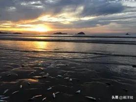 父母一直想去海边旅游，有哪些城市比较推荐一家人去呢？