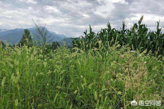 秦岭在西安附近有哪些地方适合拍照？应该注意些什么？