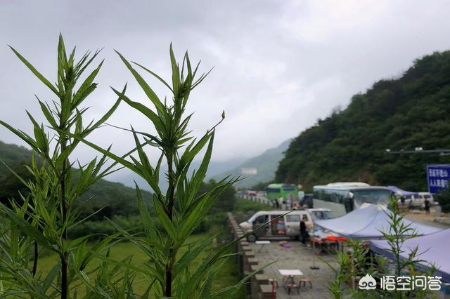 秦岭在西安附近有哪些地方适合拍照？应该注意些什么？