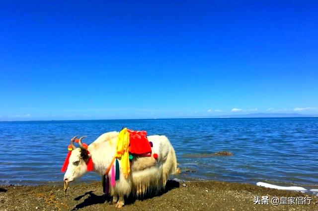 浓浓夏季，你喜欢去哪旅游？南方还是北方？