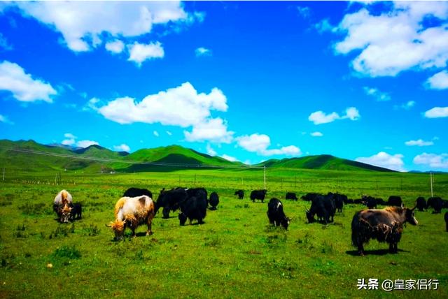 浓浓夏季，你喜欢去哪旅游？南方还是北方？