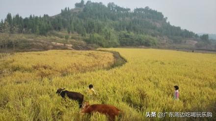 国庆6天可以去什么国家旅游呢？