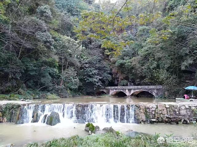 你打算在2019年春节期间去哪旅游？