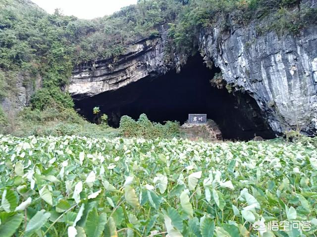 你打算在2019年春节期间去哪旅游？