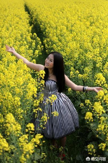 5.1小长假就要来了，你想好去哪里旅游了吗？