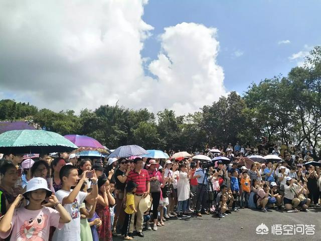 湖北恩施的野三关镇有哪些好玩的地方？