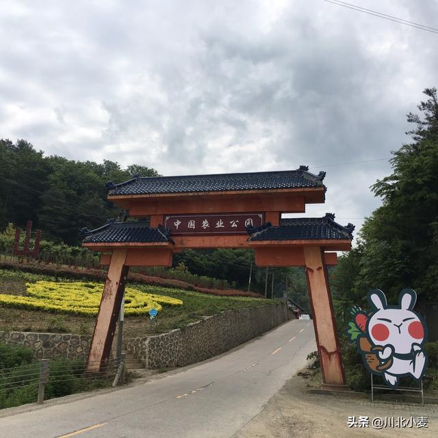 夏天到了！热的受不了，国内最适合避暑的城市是哪一座？