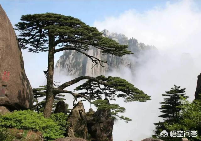 暑假想从深圳自驾游一路游玩到安徽黄山，来回十天左右，有什么好的线路推荐。谢谢？