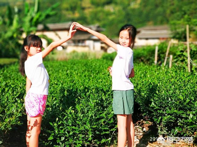 夏季来临，去我国哪里度假最适合避暑？