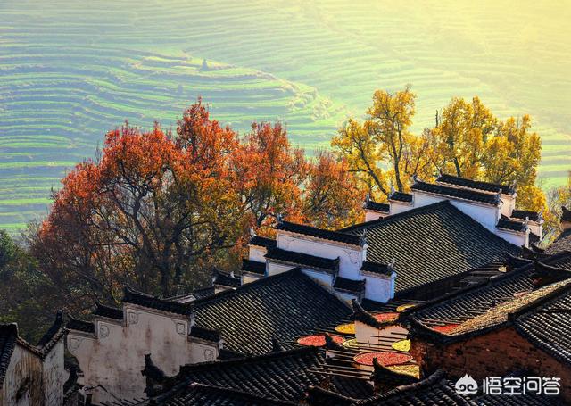 秋游婺源，必去的重点景区有哪些？