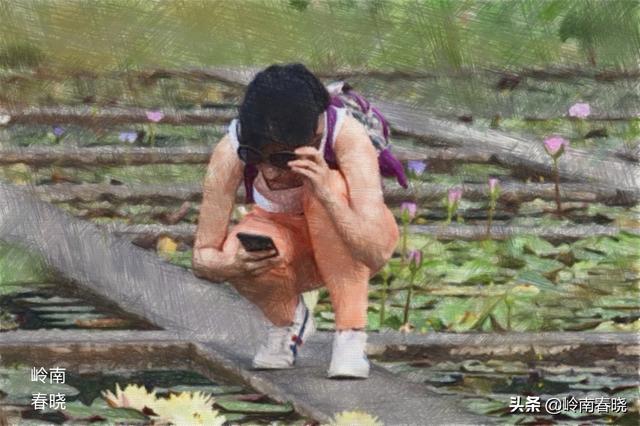 秋天的红叶子怎么拍好看？