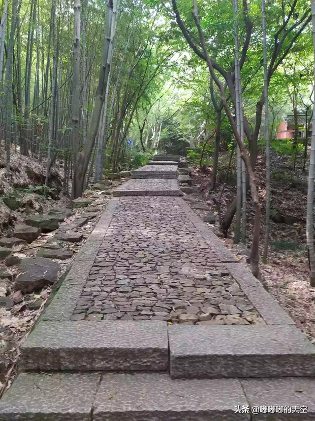 秋天上海周边哪里风景最美？