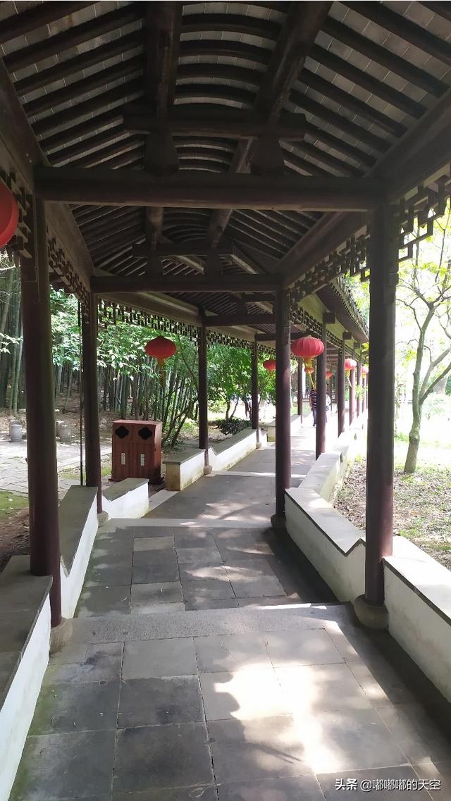秋天上海周边哪里风景最美？