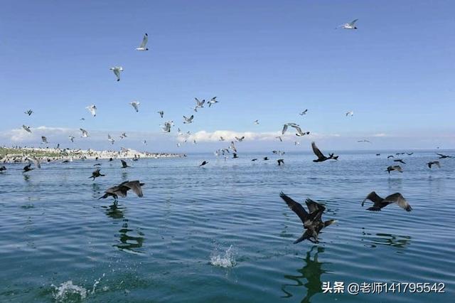 有哪些避暑胜地呢？