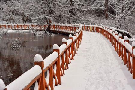 成都哪些地方可以看雪？