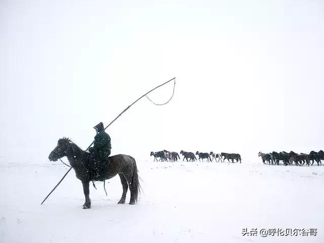 你认为冬天哪里去旅游是最好的目的地呢（国内）？