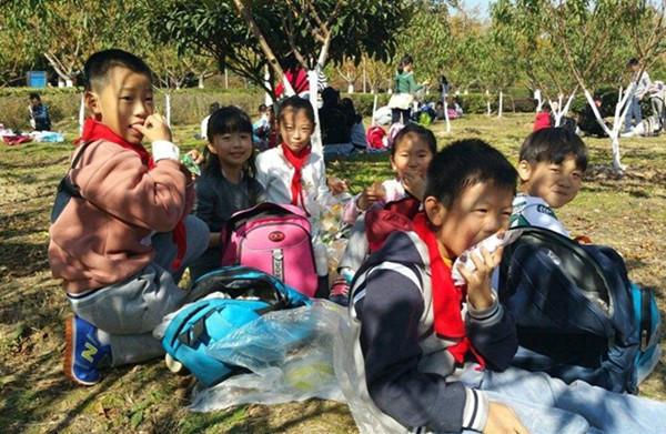秋游主题名称有哪些