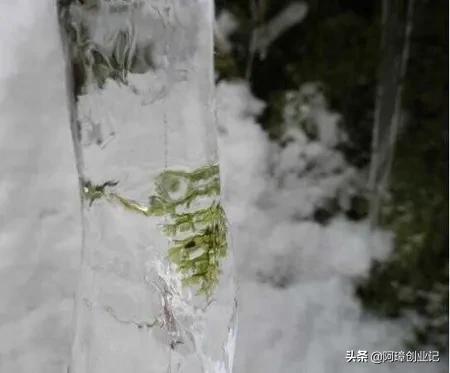 去旅游，2019成都哪里可以看雪？