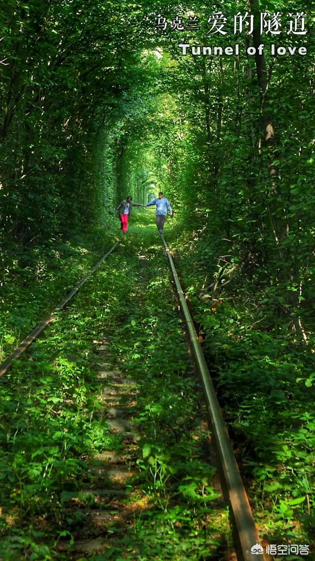 春节假期带家人旅行度假有哪些理想的目的地？