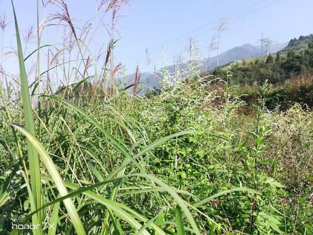 湖南有哪些原生态旅游去处？