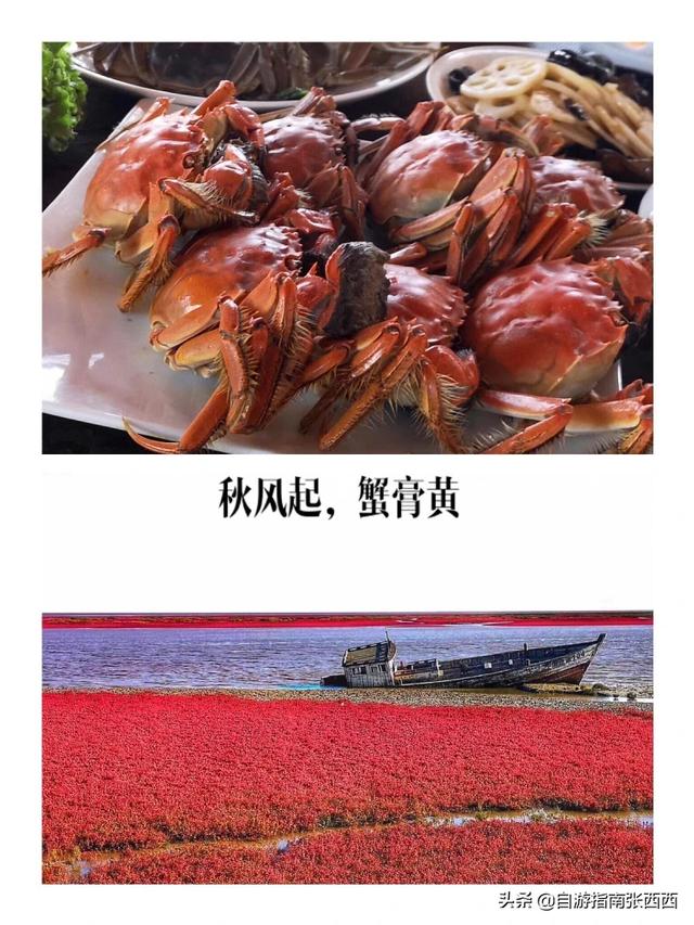 秋天适合去什么地方玩？