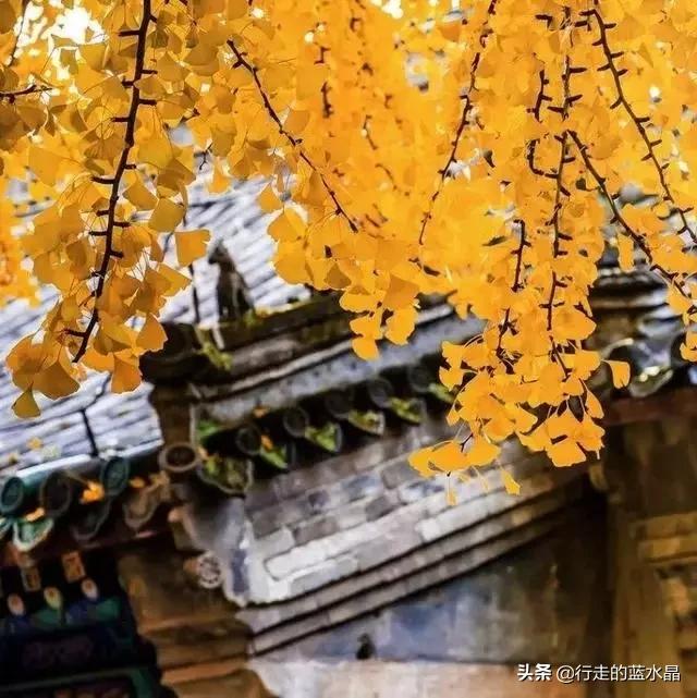 哪个城市的秋天景色最美？