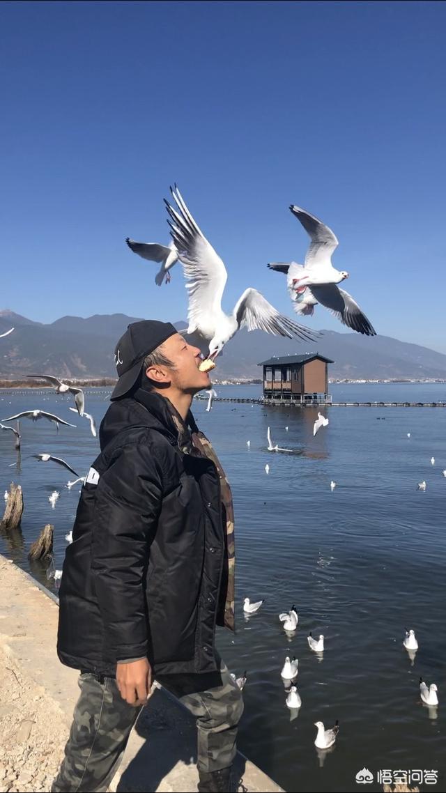 过年期间想带家人去云南，是否有好点的地方值得推荐？