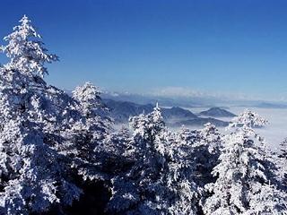 冬天旅游都有哪些好去处？