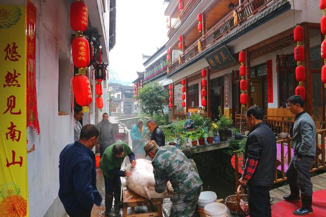夏季的婺源有哪些美景值得去游玩？