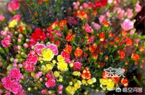 过年选择一家人出去旅游的方式如何？