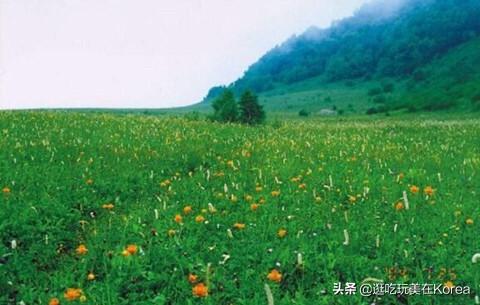 在北京周边去那里秋游最好？