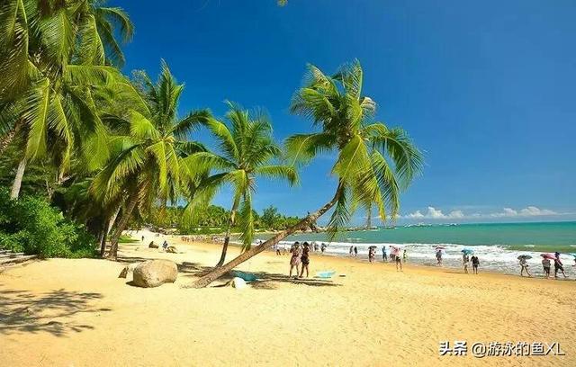 冬天适合去中国那旅行？