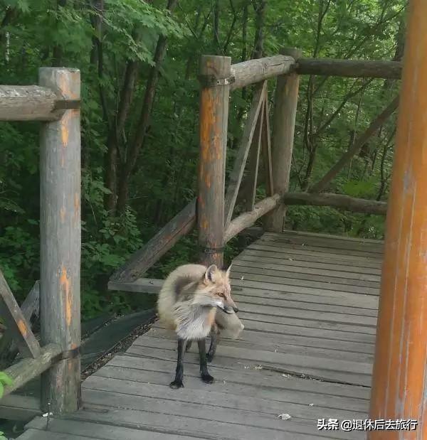 请问吉林、辽宁有什么好的旅游攻略？