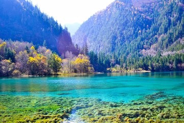 跪求春节旅游攻略