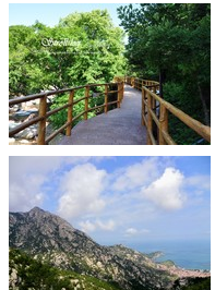 青岛哪些旅游景点大全