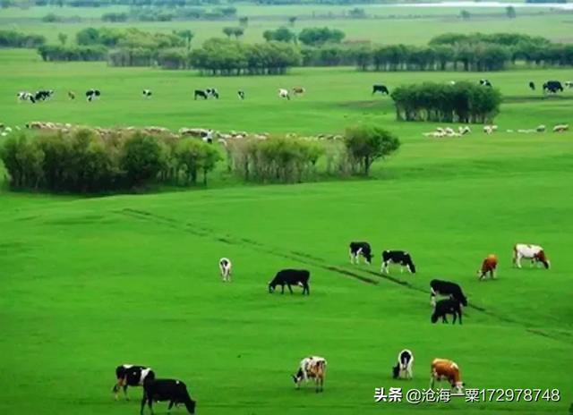 北京周边游都有什么好玩的地方？