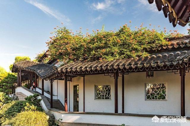 冬天去南京、苏州旅游，去哪玩比较好？
