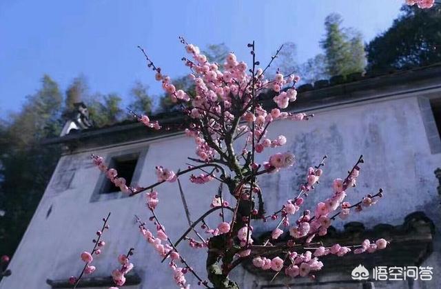 春节自驾游去黄山三、四天，该怎么安排线路比较合适？