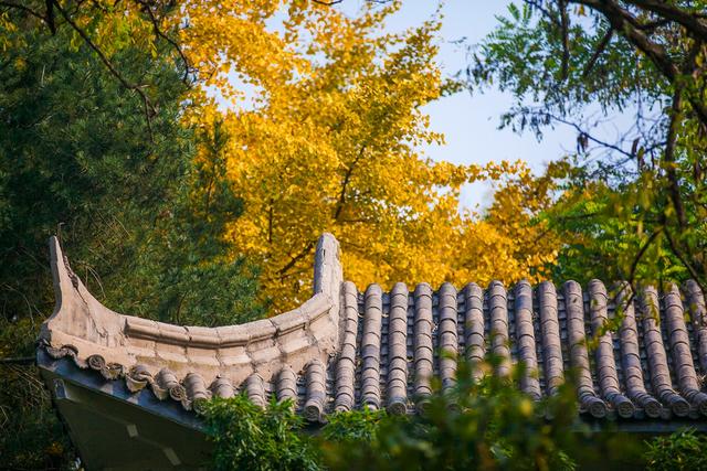 我在石家庄，冬天想出去旅游，适合一个人的，有什么好玩的地方推荐吗？