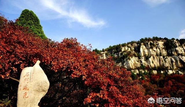 山东哪个地方的红叶好看？