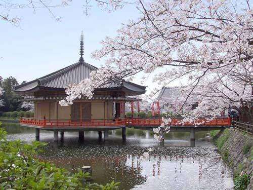 旅游，有哪些国内或国外的景点推荐？