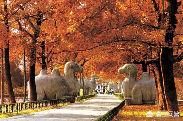 南京旅游3天怎么玩？