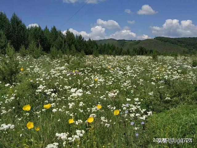 内蒙古大草原哪个地方好玩？