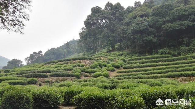 杭州秋天去哪玩？