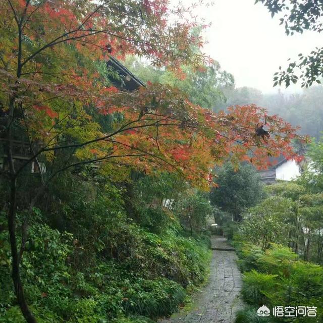 杭州秋天去哪玩？
