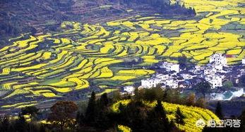 一个人想去安静一点的地方旅游、江西附近哪里有好的景点？