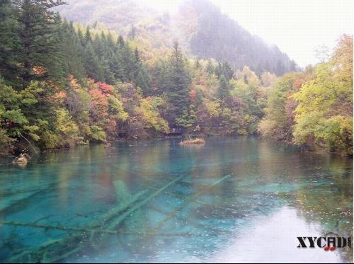 四川有什么好看的风景。