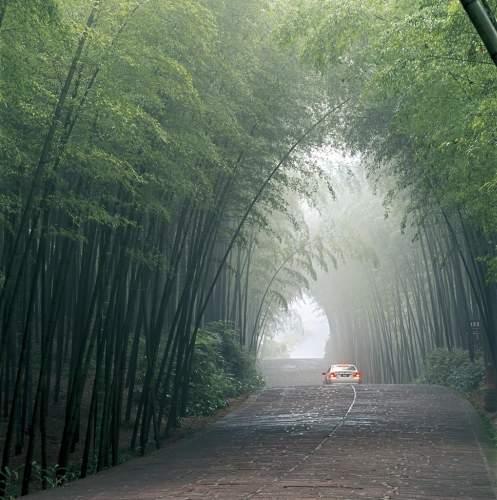 四川有什么好看的风景。