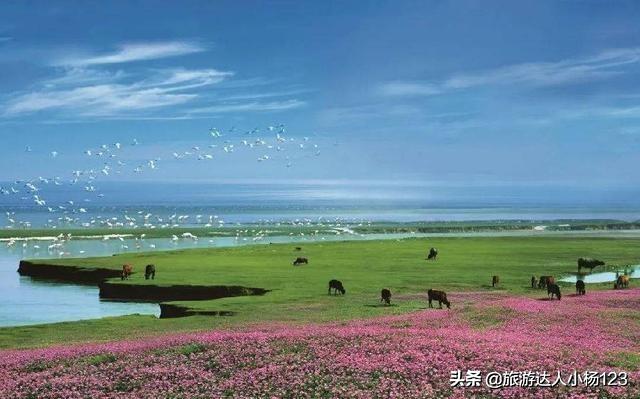 去江西旅游都有什么可玩的地方?_？