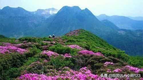 去江西旅游都有什么可玩的地方?_？
